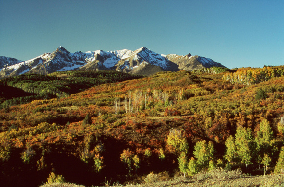 Foliage and distant mountains
