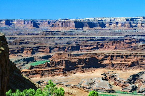Canyonlands from overlook