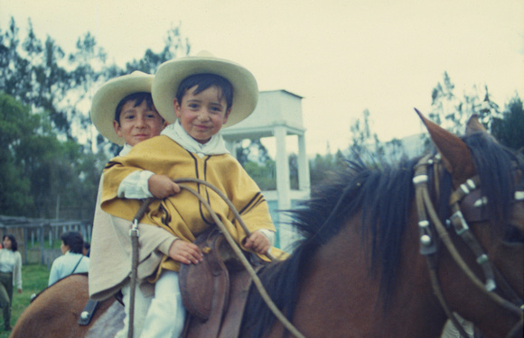 Little boys on horse