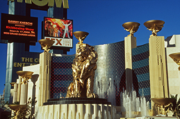 MGM Grand Hotel Arena
