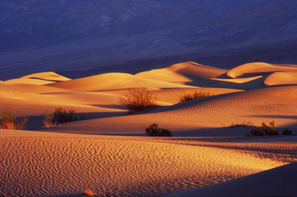 Mesquite Flat Sand Dunes at sunset