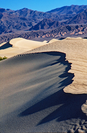 Sand dune ridge top