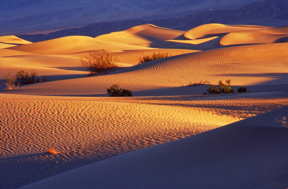 Mesquite Flat Sand Dunes at sunset