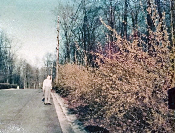 Dick with forsythia 1976