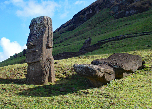 Standing and fallen moai