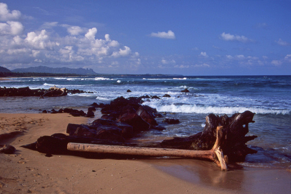 Kauai beach scene