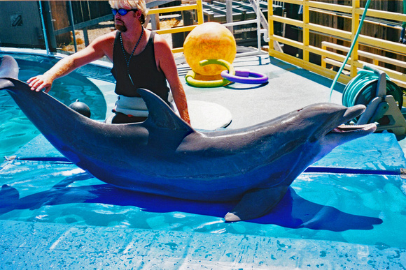 Santa Cruz Dolphin and trainer