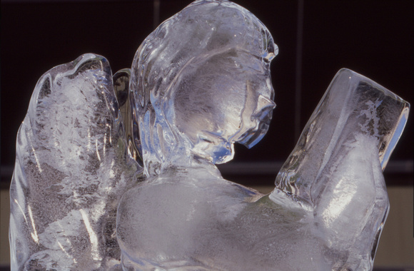 Ice sculpture detail