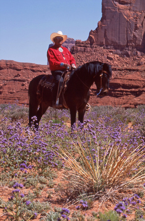 Man on horse with purple flowers