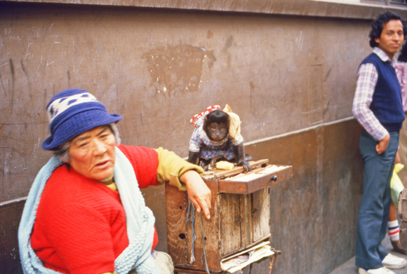 Old woman with monkey