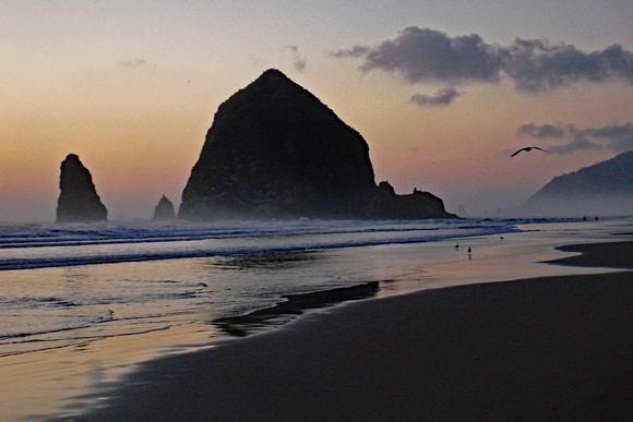 Oregon coast big monolith at dusk