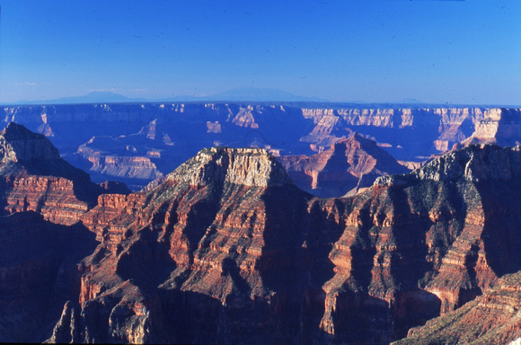 Grand Canyon scene
