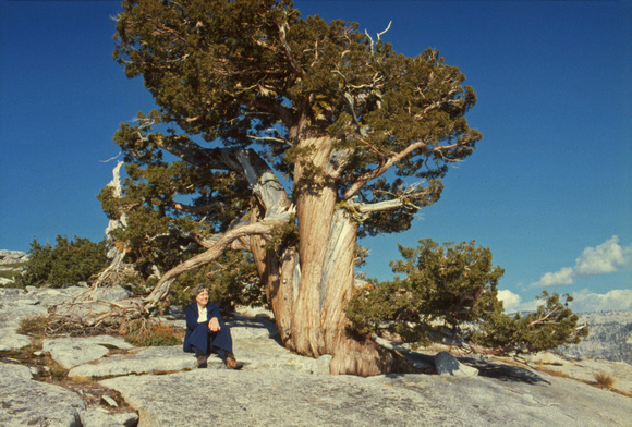 Pat with Yosemite tree