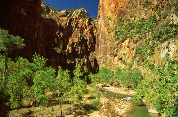 Narrow Zion canyon