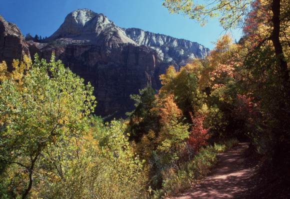 Colorful Zion trail