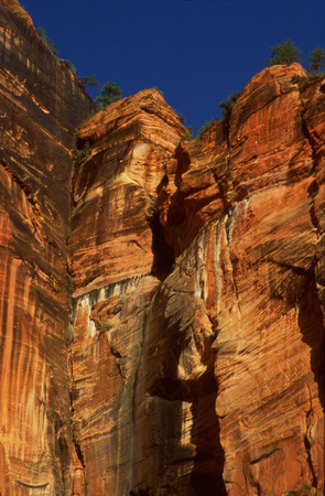 Colorful Zion cliff