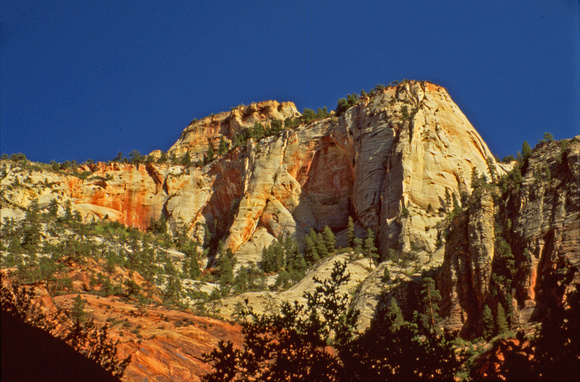 Zion baldface mountain