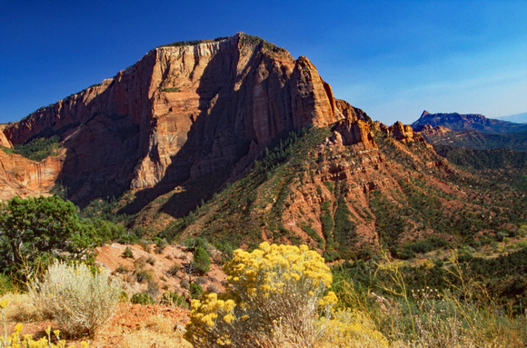 Zion mountain in distance