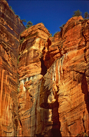 Zion cliff